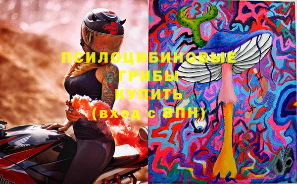 ешки Медногорск