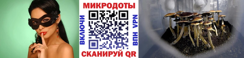 Галлюциногенные грибы Psilocybe  МЕГА ССЫЛКА  Миньяр  где продают наркотики 